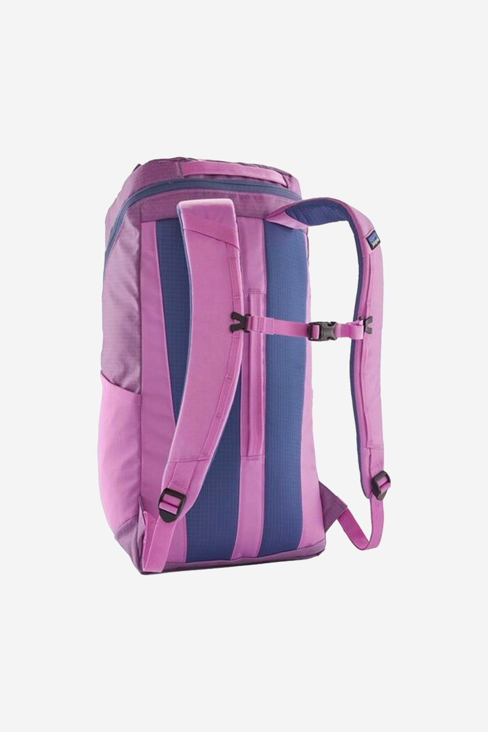 Black Hole Pack 25L - Brisk Purple